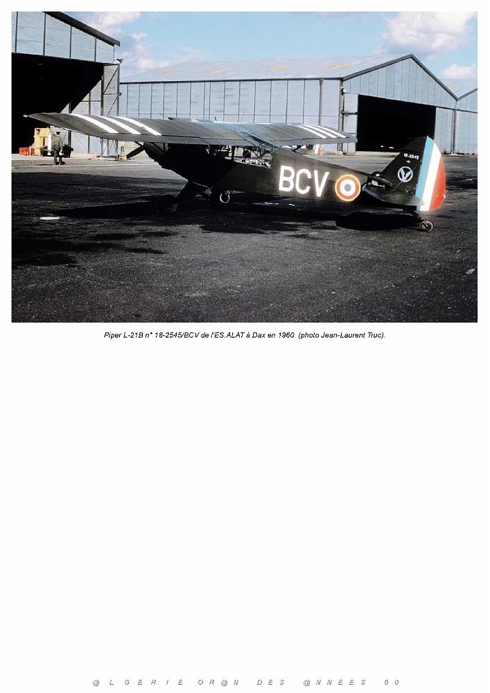 Piper L-21B_000021.jpg